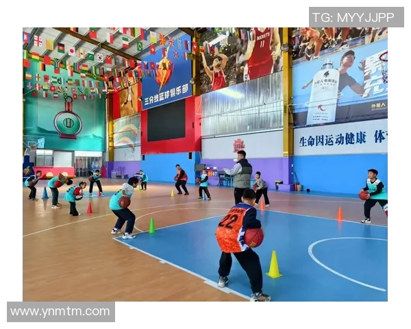 南京篮球队在篮球节奏排名中创下历史新高引发热议与期待