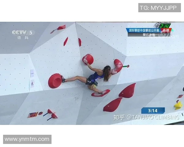 南京攀岩队技术表现数据分析揭示训练效果与提升空间