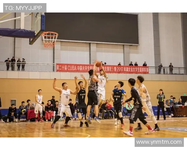 南京篮球队灵活性深度对比分析及其对比赛表现的影响探讨 南京篮球队灵活性深度对比分析及其对比赛表现的影响探讨