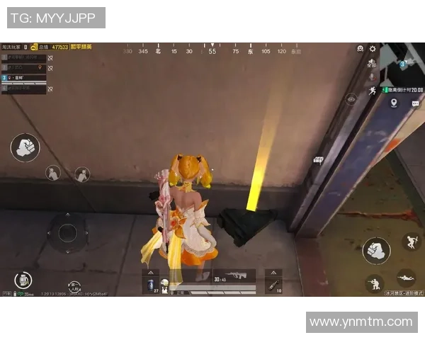 和平精英TES战队实力引发热议玩家对其表现的不同看法与争论